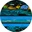 [OA2417 C4] OA2417 (C4)